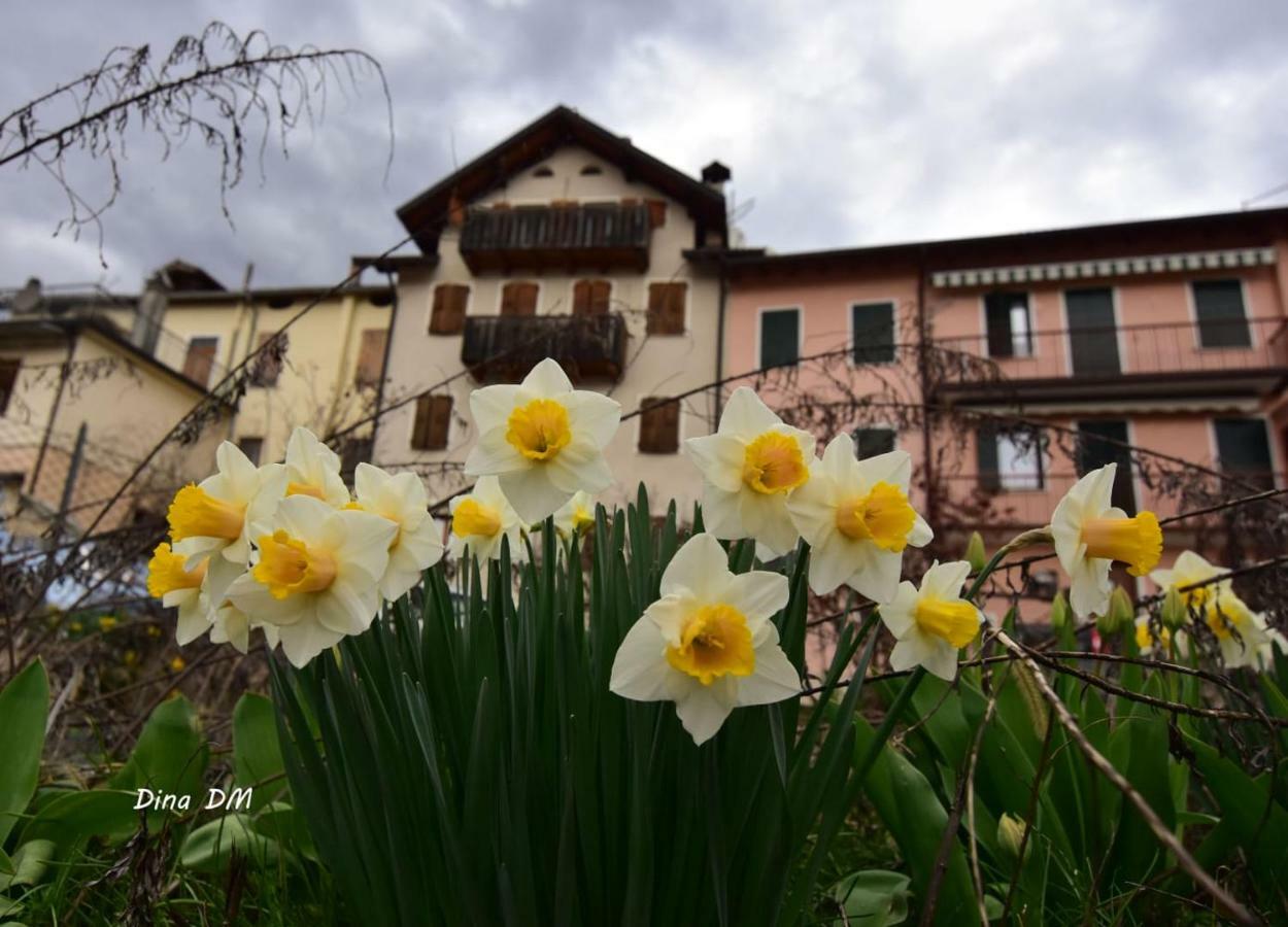 “Oltre Il Confine” Daire Belluno Dış mekan fotoğraf