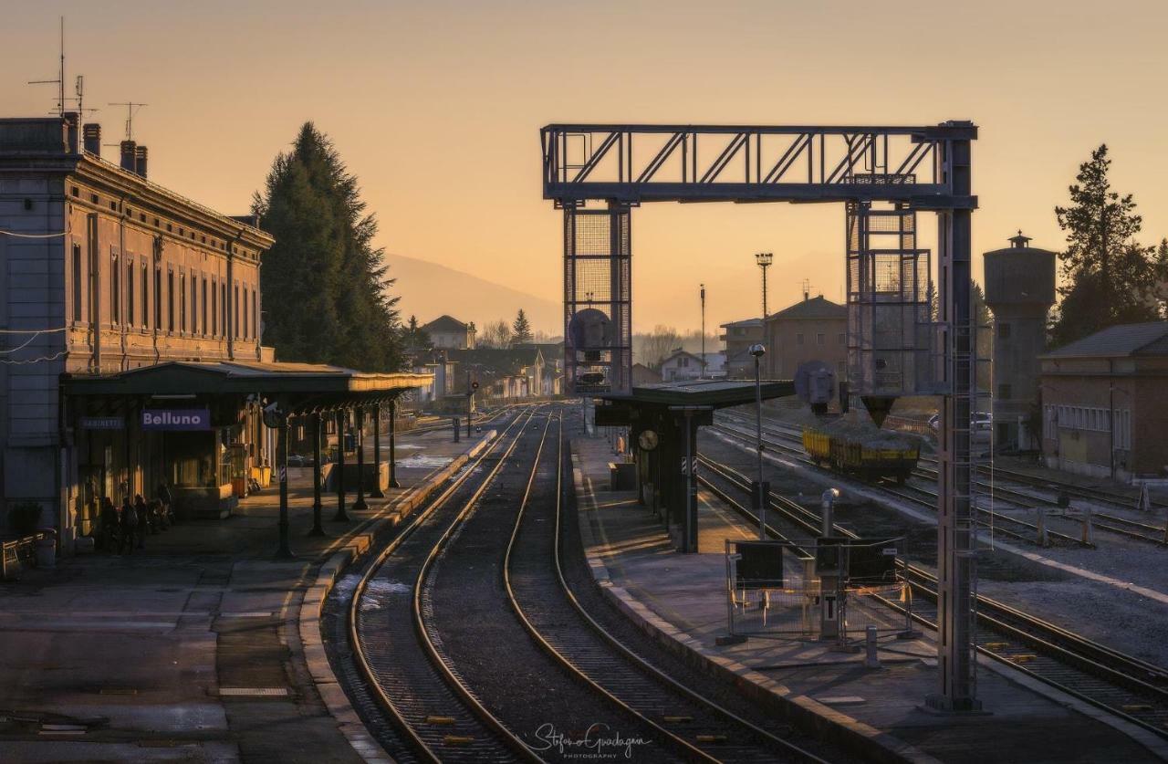 “Oltre Il Confine” Daire Belluno Dış mekan fotoğraf